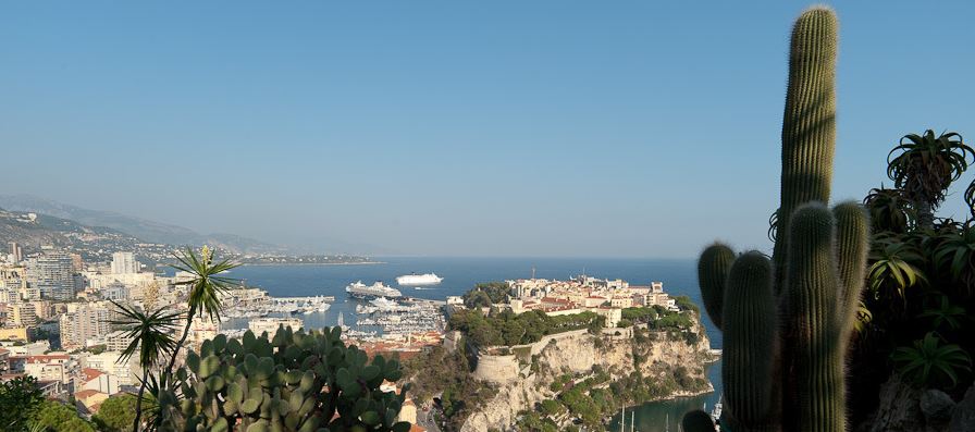 Exotic Garden of Monaco